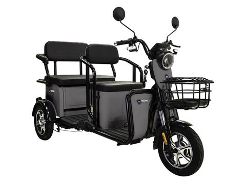 2022 Massimo MGC E-Trike in Mio, Michigan - Photo 2
