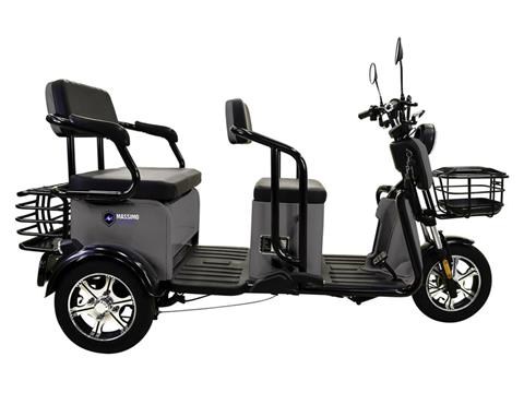 2022 Massimo MGC E-Trike in Mio, Michigan - Photo 3