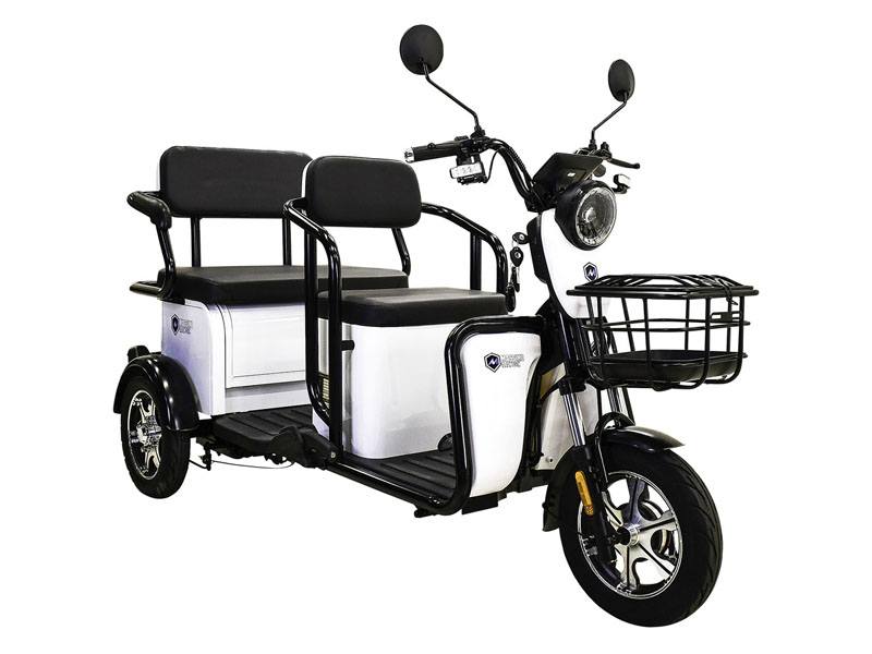 2022 Massimo MGC E-Trike in Mio, Michigan - Photo 2
