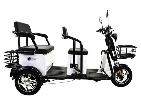 2022 Massimo MGC E-Trike in Harrison, Michigan - Photo 3