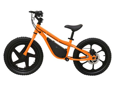 2023 Massimo E13 Balance Bike in Harrison, Michigan - Photo 2