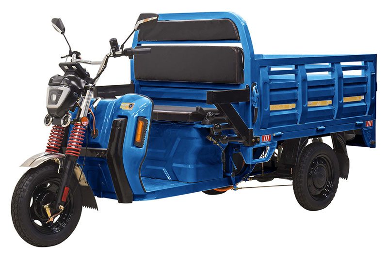 2023 Massimo Cargo Max E-Trike in Barrington, New Hampshire - Photo 1