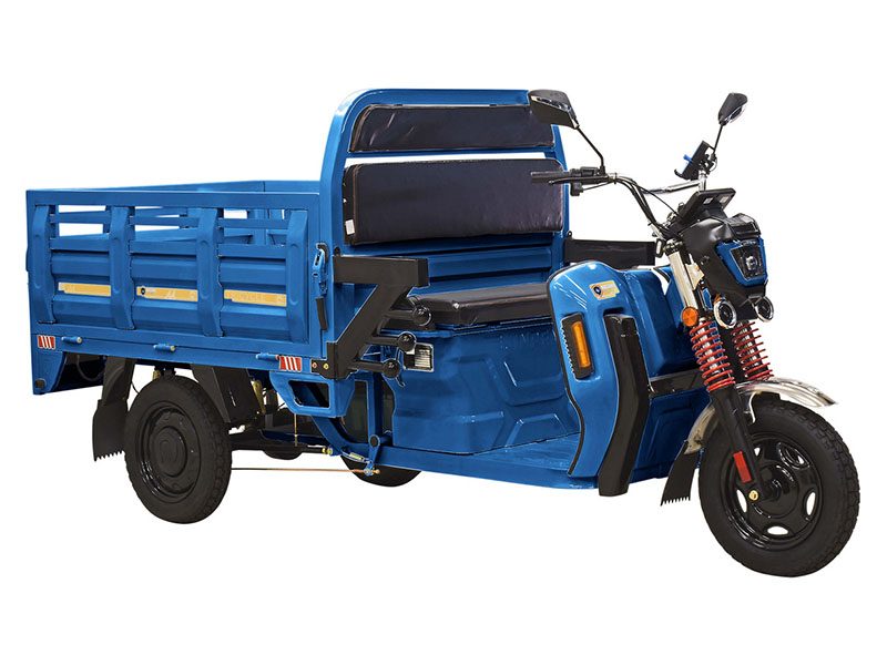 2023 Massimo Cargo Max E-Trike in Mio, Michigan - Photo 2