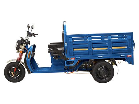 2023 Massimo Cargo Max E-Trike in Mio, Michigan - Photo 4