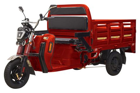 2023 Massimo Cargo Max E-Trike in Barrington, New Hampshire - Photo 1