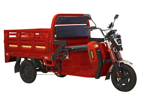 2023 Massimo Cargo Max E-Trike in Mio, Michigan - Photo 2