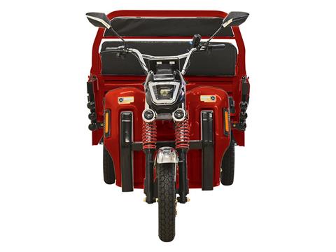 2023 Massimo Cargo Max E-Trike in Barrington, New Hampshire - Photo 5