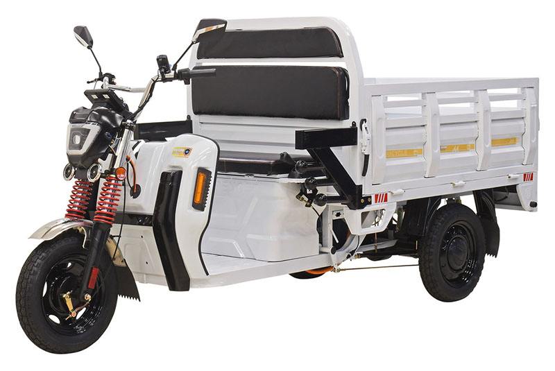 2023 Massimo Cargo Max E-Trike in Mio, Michigan - Photo 1