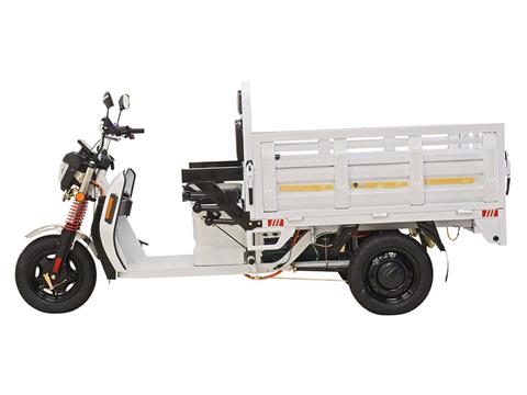 2023 Massimo Cargo Max E-Trike in Harrison, Michigan - Photo 2