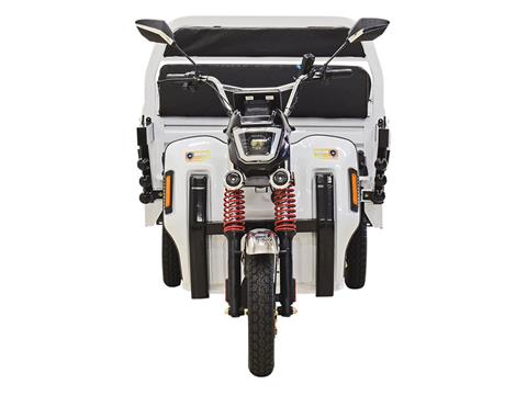 2023 Massimo Cargo Max E-Trike in Mio, Michigan - Photo 5