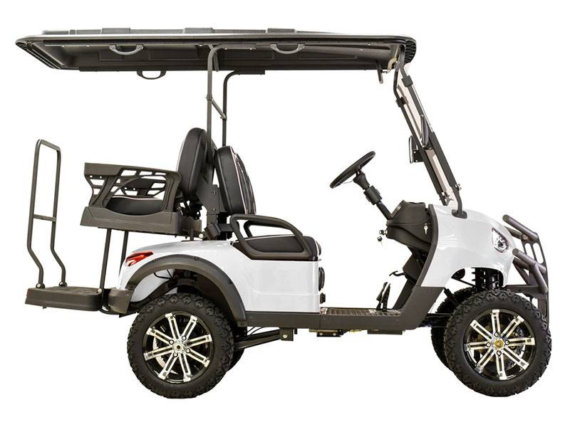 2022 Massimo MEV2X Golf Cart in Davison, Michigan - Photo 3