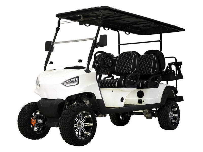 2022 Massimo MEV4X Golf Cart in Davison, Michigan - Photo 1
