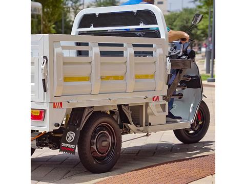 2023 Massimo Cargo Max E-Trike in Harrison, Michigan - Photo 9