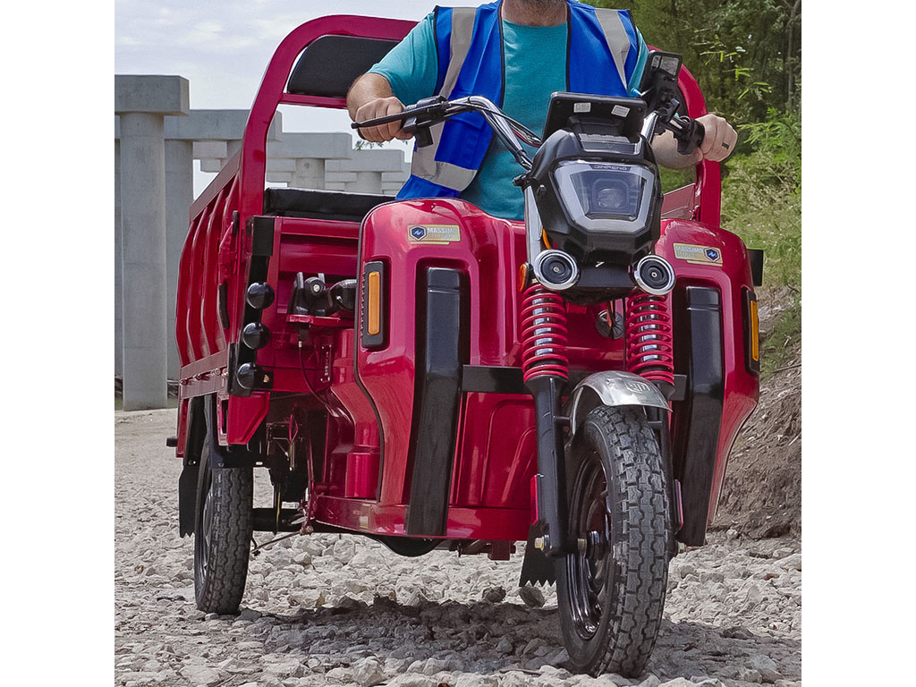 2023 Massimo Cargo Max E-Trike in Harrison, Michigan - Photo 16