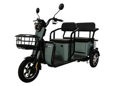 2023 Massimo MGC E-Trike in Mio, Michigan - Photo 1
