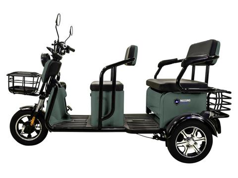 2023 Massimo MGC E-Trike in Mio, Michigan - Photo 3