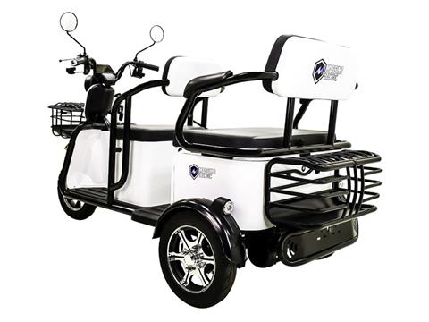 2023 Massimo MGC E-Trike in Mio, Michigan - Photo 6