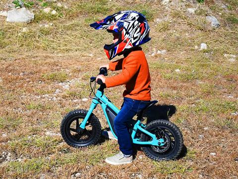 2024 Massimo E11 Balance Bike in Harrison, Michigan - Photo 15