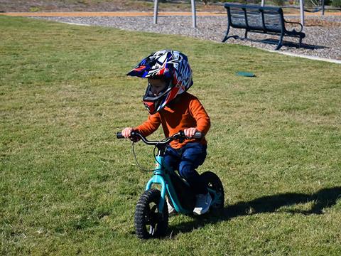 2024 Massimo E11 Balance Bike in Harrison, Michigan - Photo 17