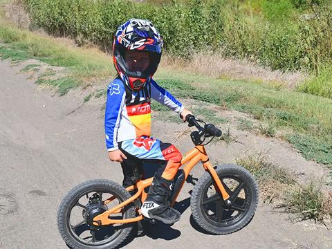 2024 Massimo E13 Balance Bike in Harrison, Michigan - Photo 20