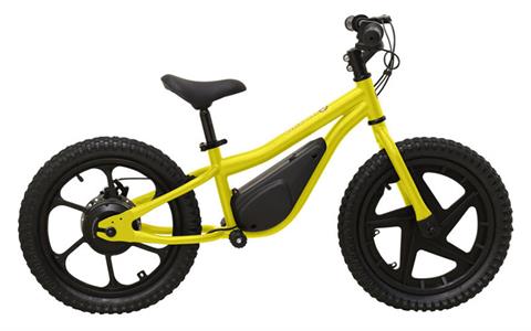 2024 Massimo E13 Balance Bike