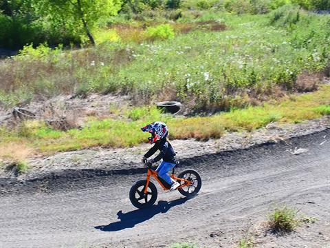 2024 Massimo E13 Balance Bike in Harrison, Michigan - Photo 18