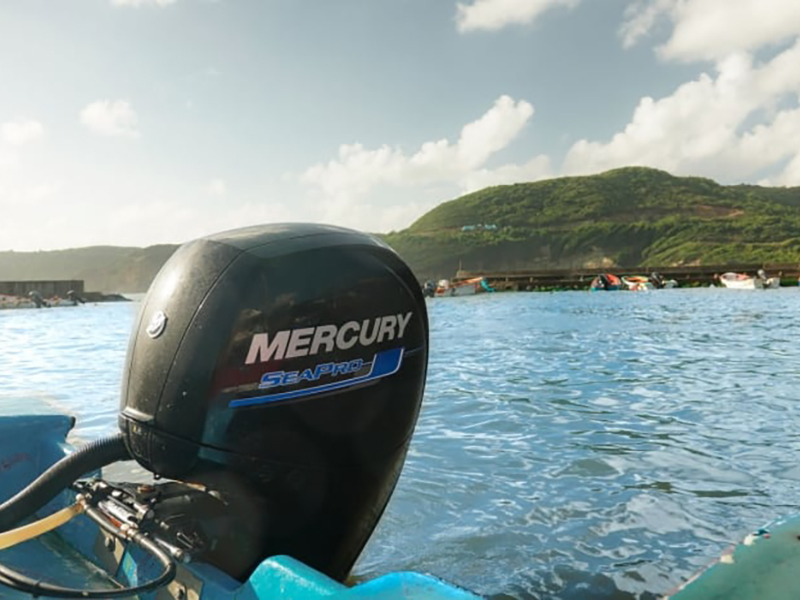 Mercury Marine 115ECXLPT SeaPro Command Thrust in Tuscumbia, Alabama - Photo 4