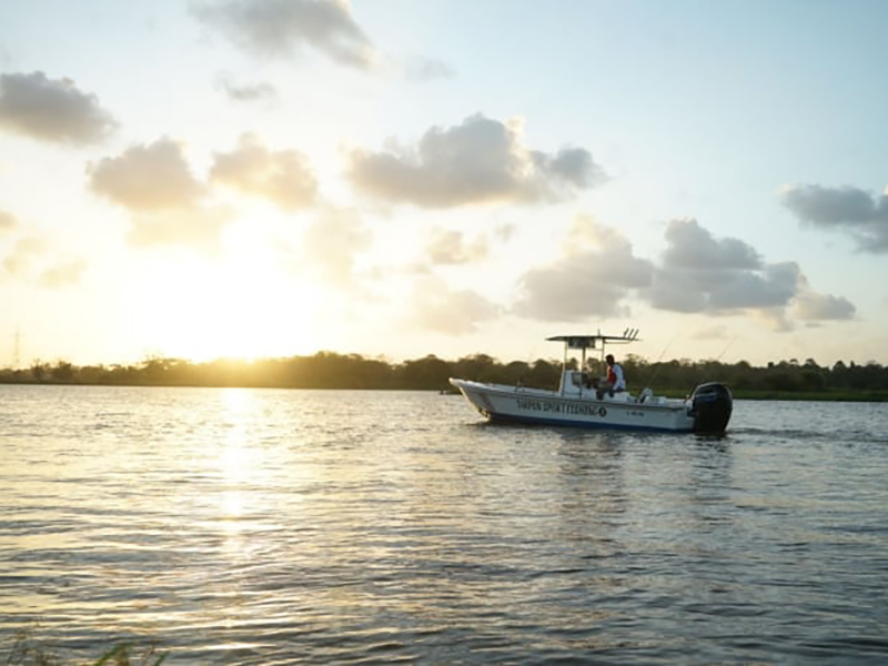 Mercury Marine 115ECXLPT SeaPro Command Thrust in Tuscumbia, Alabama - Photo 5