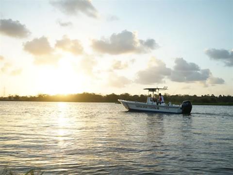 Mercury Marine 115ECXLPT SeaPro Command Thrust in Tuscumbia, Alabama - Photo 5