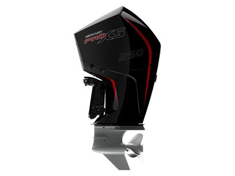 Mercury Marine 250L Pro XS TorqueMaster in Knoxville, Tennessee