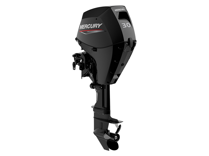 Mercury Marine 30ELGA FourStroke in Madera, California - Photo 1