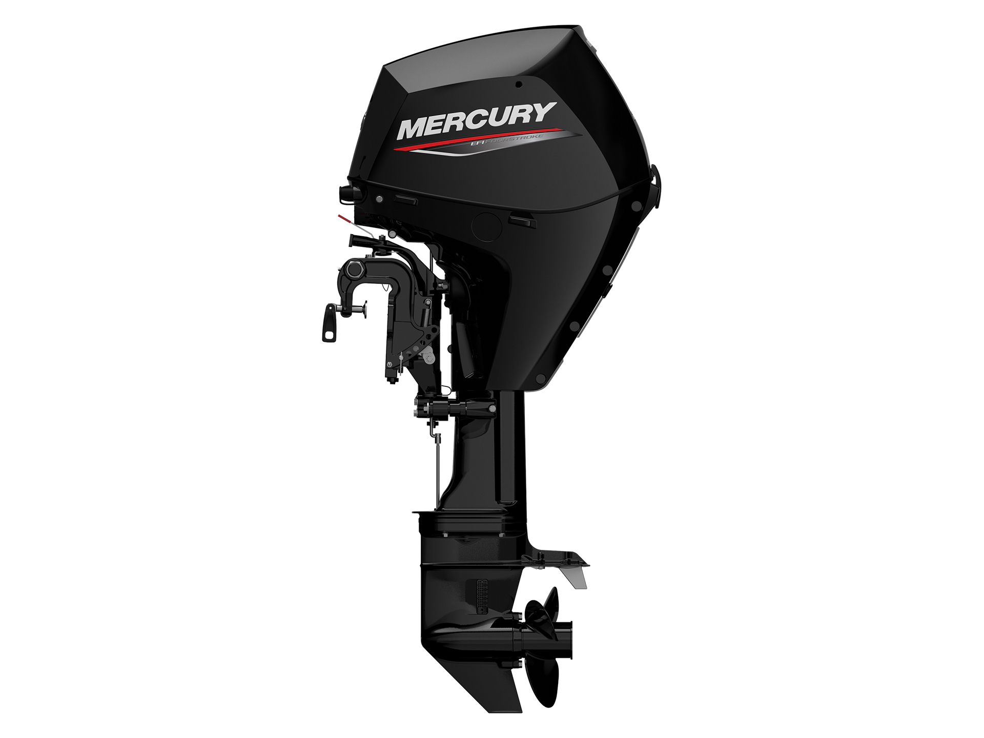 Mercury Marine 30ELGA FourStroke in Madera, California - Photo 2