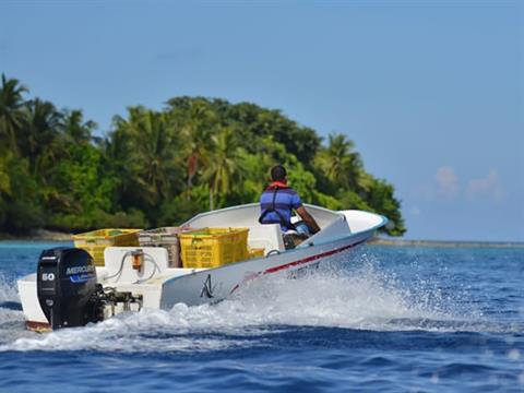 Mercury Marine 60EXLPT SeaPro Command Thrust in Edgerton, Wisconsin - Photo 5