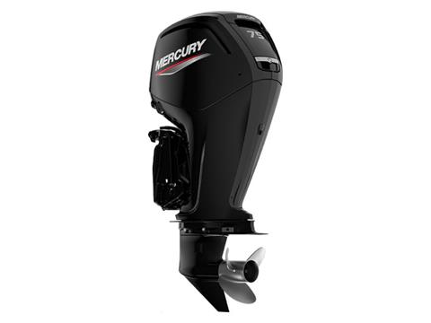 Mercury Marine 75ELPT FourStroke in Knoxville, Tennessee