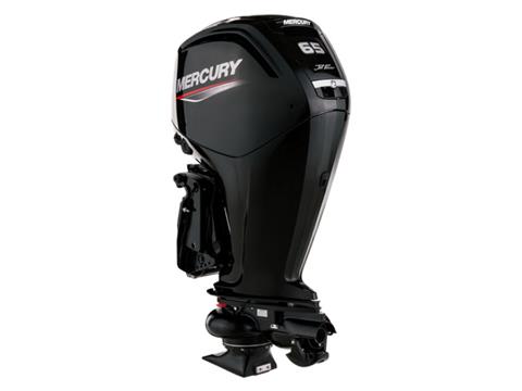 Mercury Marine Jet 65ELPT FourStroke in Knoxville, Tennessee