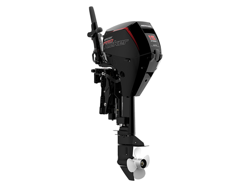 Mercury Marine 15ELHPT ProKicker FourStroke in Appleton, Wisconsin - Photo 1