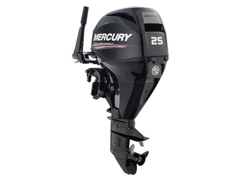 Mercury Marine 25EPT FourStroke in Knoxville, Tennessee