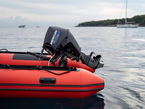 Mercury Marine 25MLH SeaPro FourStroke in Blackfoot, Idaho - Photo 7