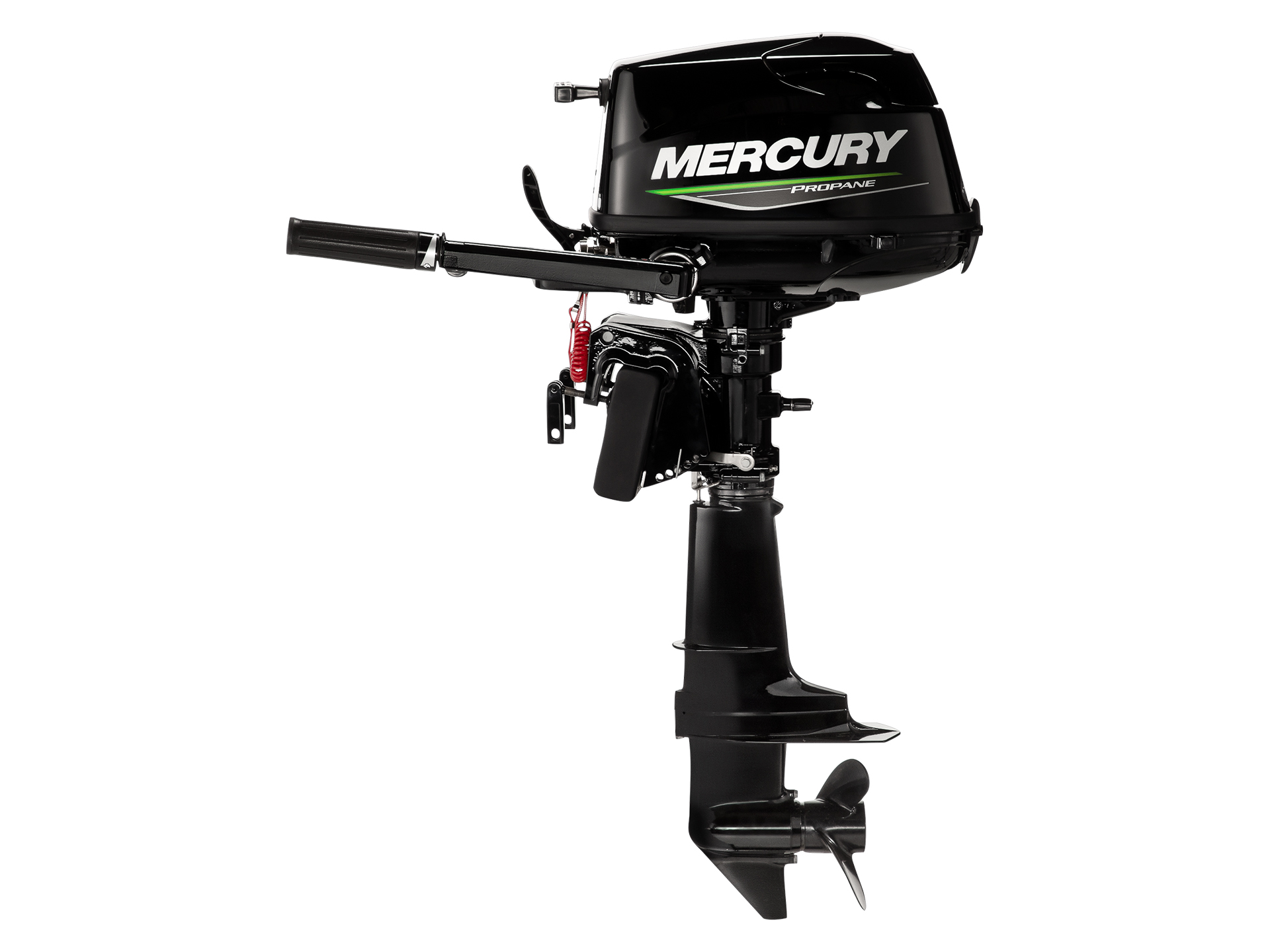 Mercury Marine 5MH Propane FourStroke in New Germany, Minnesota - Photo 2