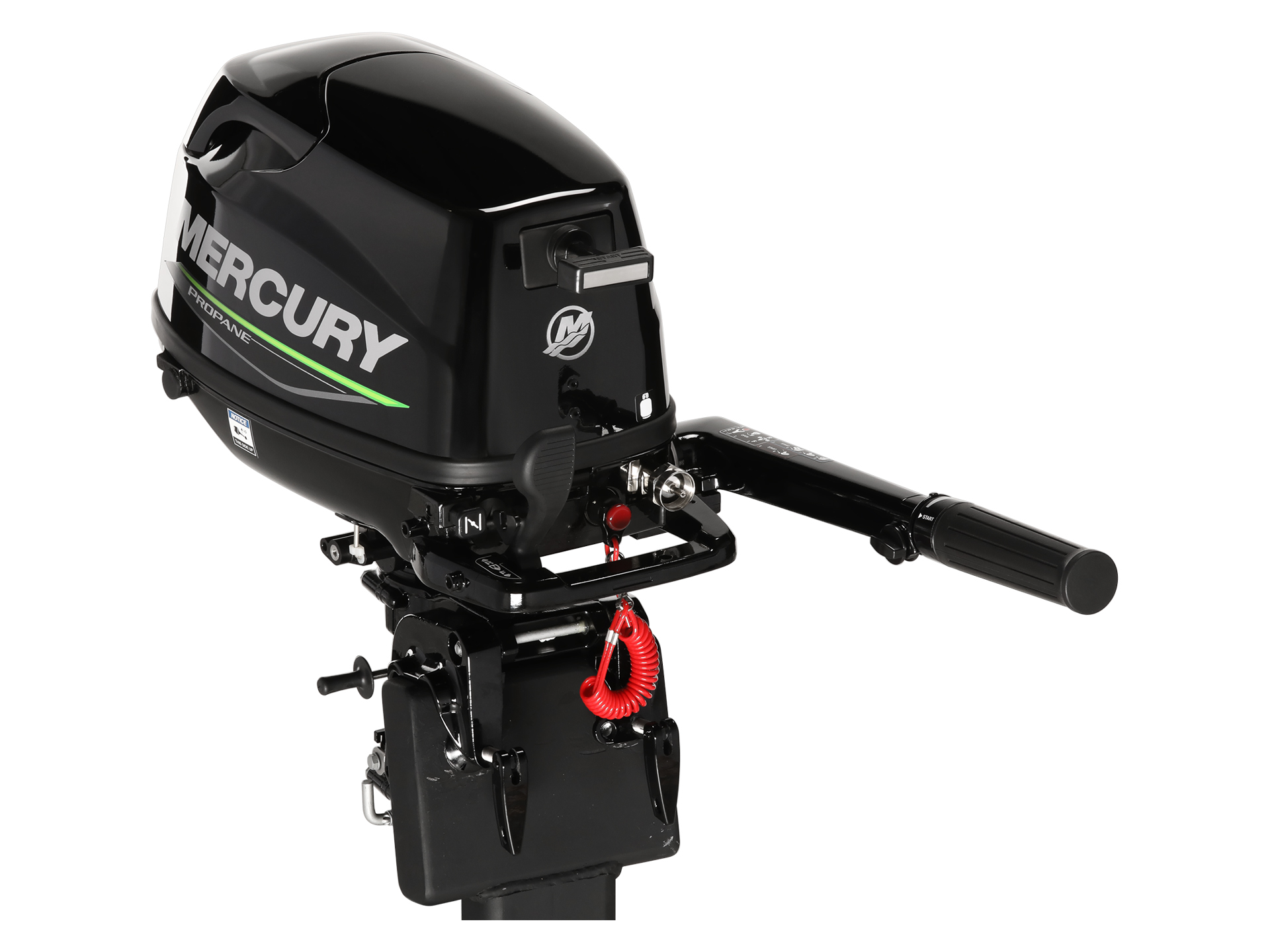 Mercury Marine 5MH Propane FourStroke in New Germany, Minnesota - Photo 3