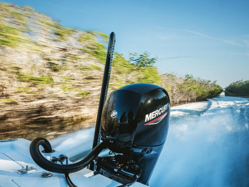 Mercury Marine 5MH Propane FourStroke in Blackfoot, Idaho - Photo 9