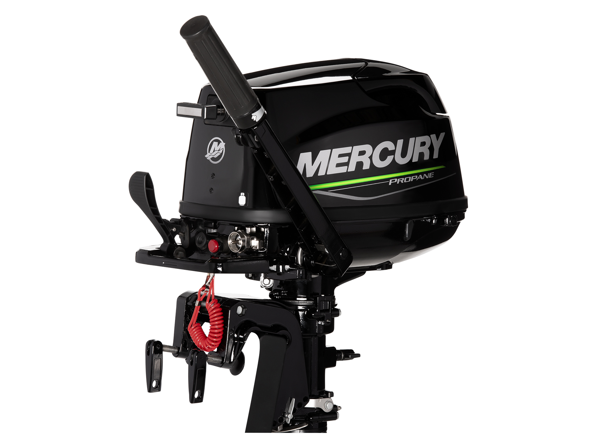 Mercury Marine 5MLHA Propane Sail Power FourStroke in Madera, California - Photo 4