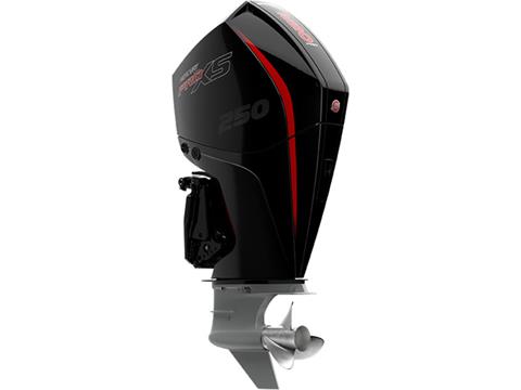 Mercury Marine 250L Pro XS DTS Pro Black Torque Master in Knoxville, Tennessee
