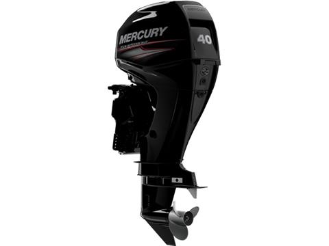 Mercury Marine 40MH FourStroke in Knoxville, Tennessee