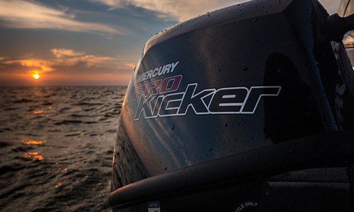 Mercury Marine 8MH FourStroke in Kaukauna, Wisconsin - Photo 7