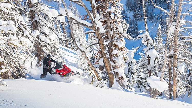 2018 Polaris 800 PRO-RMK 155 SnowCheck Select in Greenland, Michigan - Photo 9