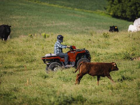 2023 Polaris Sportsman 450 H.O. Utility in Winchester, Tennessee - Photo 5