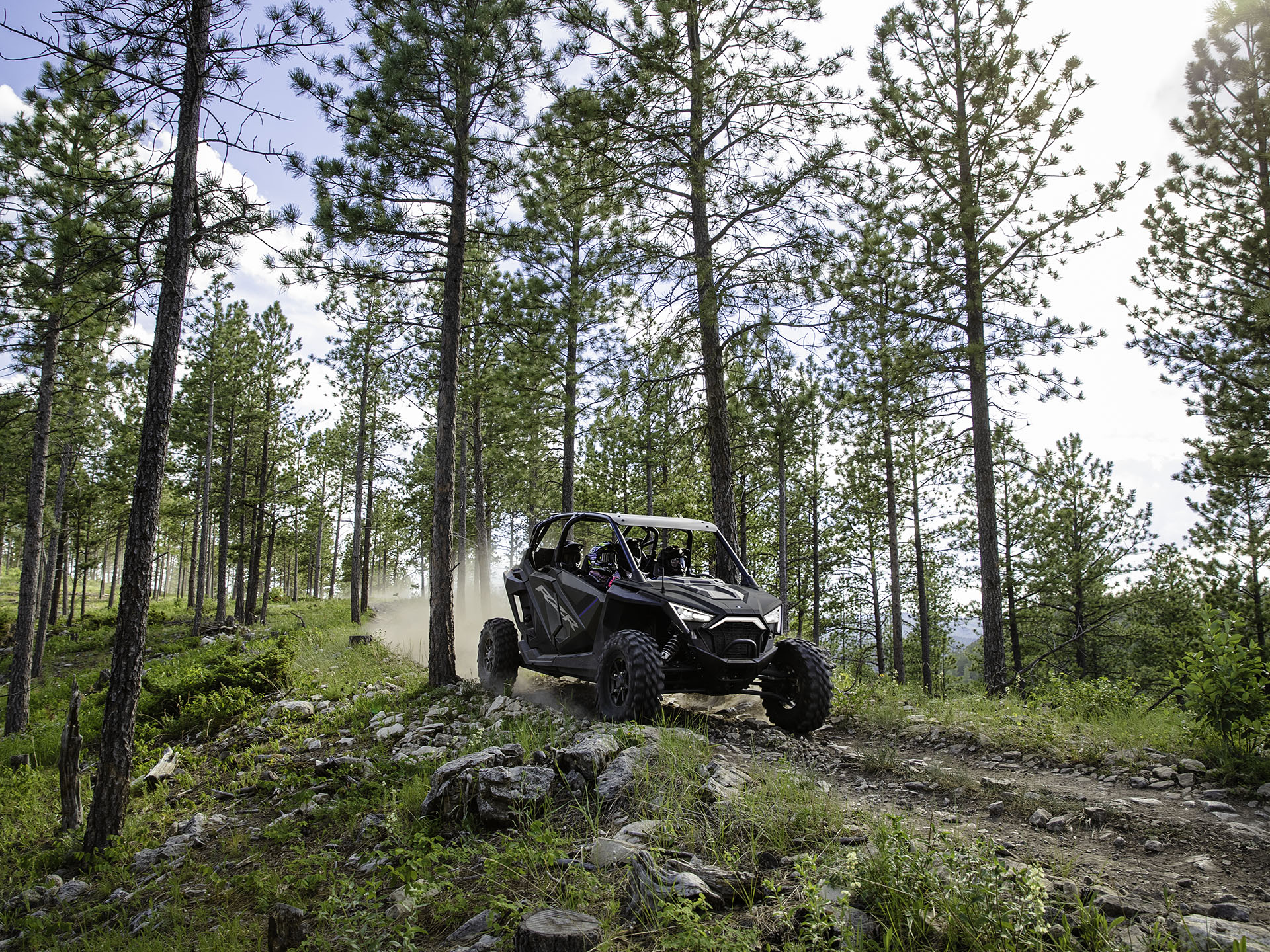 2023 Polaris RZR Pro XP 4 Ultimate in Dyersburg, Tennessee
