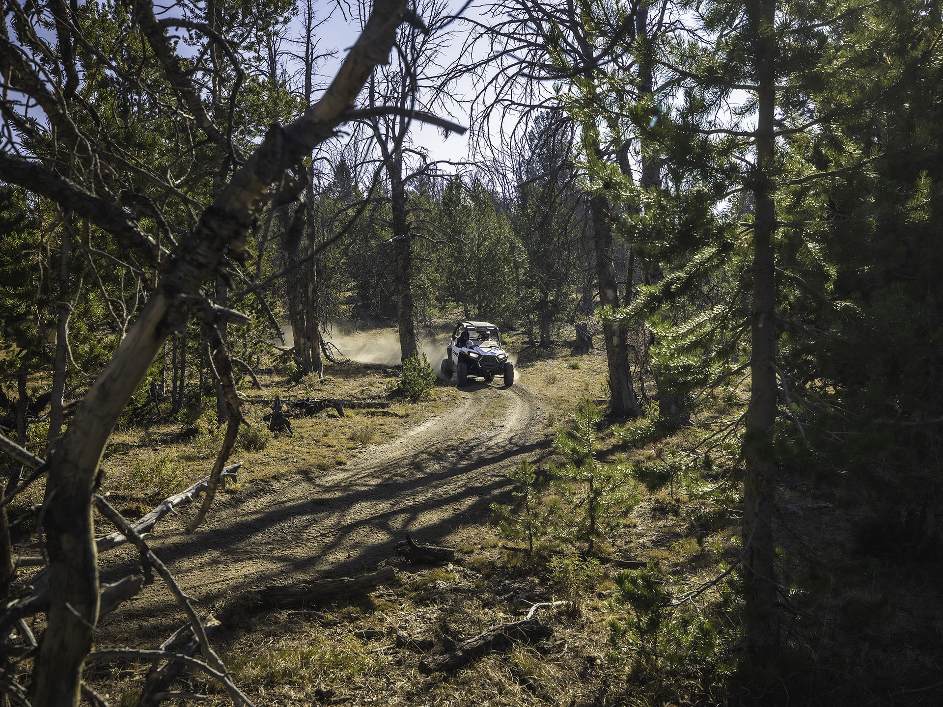 2023 Polaris RZR Trail S 900 Sport in Alamosa, Colorado - Photo 4