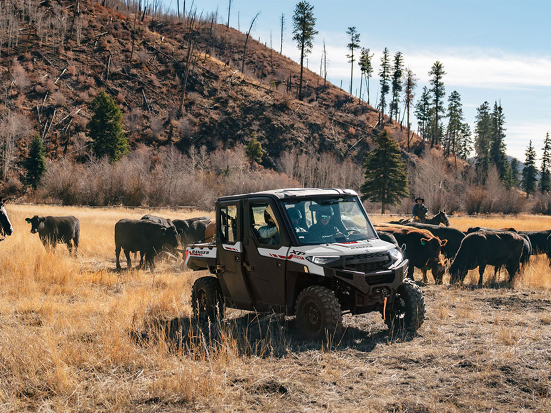 2025 Polaris Ranger Crew XP 1000 NorthStar Trail Boss Edition in Lancaster, South Carolina - Photo 5